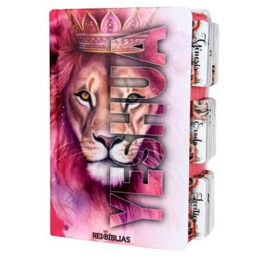 Imagem de Bíblia Sagrada Evangélica Com Índice Abas Adesivas - Yeshua Rosa - REI