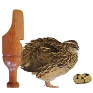 Imagem de Apito Pio De Madeira Codorna 28 Apito Profissional