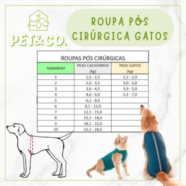 Imagem de Macacão Cirúrgico Pet para Cachorro e Gato - Pet & Persona, 3&Macho