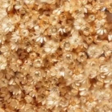 Imagem de 1KG - Flores Sempre Vivas Natural e Desidratado - VIVA FLOR