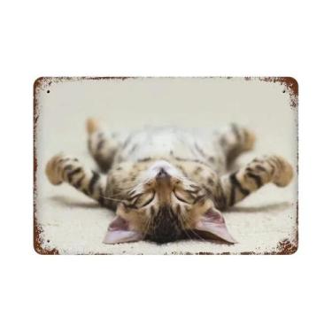 Imagem de Placa De Metal Vintage Com Gatos Para Parede - Decoração Normal É Abor