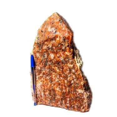 Imagem de 01 Calcita Laranja Pé e Bico Serrado 26 a 30cm 7 a 8kg Tipo B - Crista