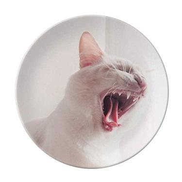 Imagem de Prato de fotografia de gato branco feroz decorativo de porcelana salver talheres, prato de jantar