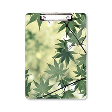 Imagem de Placa de apoio para quadro de prancheta natureza com imagem de planta Maple Leaf A4
