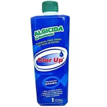 Imagem de Algicida Manutencão 01 litro CLOR UP  - CLOR-UP