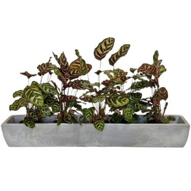 Imagem de Jardineira Viena Para Plantas 100x14cm Floreira Polietileno - Alpe & A