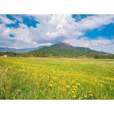 Imagem de Quadro Decorativo com Estampa Image Vertical Blueskysunrise Purple 30 x 30 Vinil 2 unidades