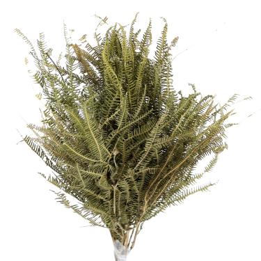 Imagem de Planta Seca Samambaia Tres Andares Verde 50cm