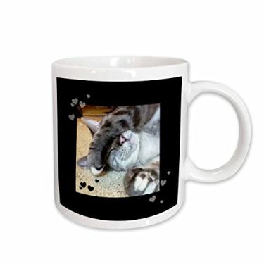 Imagem de 3dRose Caneca com foto fofa para amantes de patas dormindo e gato malhado mug_242434_2, 443 ml, branca