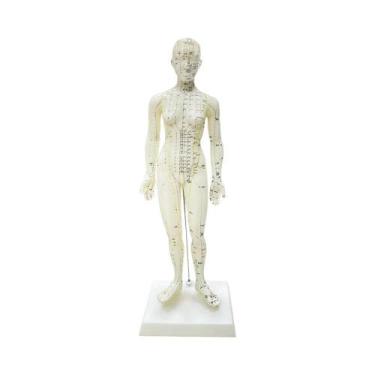 Imagem de Modelo Profissional De Acupuntura Em PVC Em Tamanho Real Para Ensino D