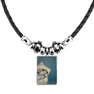 Imagem de DIYthinker Colar com foto de gato azul animal, joia com pingente de corda de couro torque