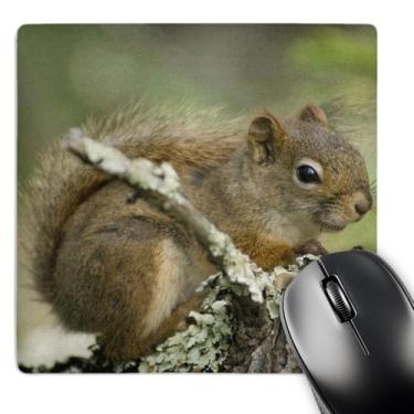 Imagem de 3dRose Mouse pad LLC 20 x 20 x 0,63 cm, esquilo vermelho, Raymond Klass (mp_91442_1)