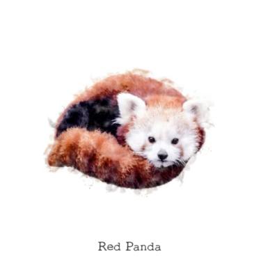 Imagem de Red Panda: Notebook, 120 blank lined pages, 6 by 9
