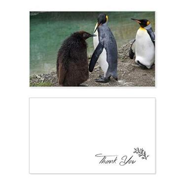 Imagem de Pinguim da Antártica do Mar Frio, Ciência Natureza, Cartão de agradecimento, Papel de aniversário, Saudações de casamento