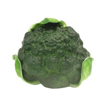 Imagem de Bothyi Simulação de vegetais artificiais para exibição de vegetais, suporte fotográfico, vegetais artificiais realistas para desenhar o plano de fundo da, Brócolis