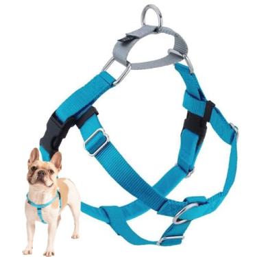 Imagem de (Turquoise) - 2 Hounds Design Freedom No-Pull No Leash Harness Only, 1.6cm , X-Small