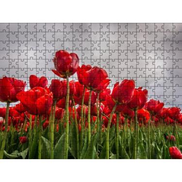Imagem de Quebra-Cabeça Jardim Flores Vermelhas de 300 peças que Encantam - Cole