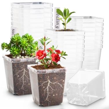 Imagem de RooTrimmer Vasos transparentes para berçário de 8,3 cm com drenagem, pacote com 90 vasos quadrados para mudas com rótulos de plantas, vasos de sementes reutilizáveis para suculentas, transplante