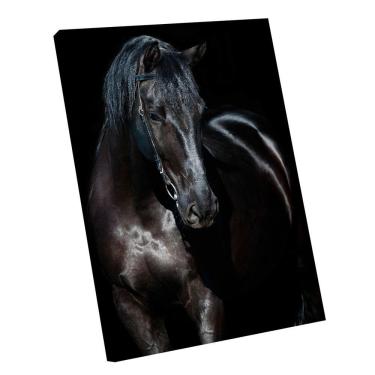 Imagem de Quadro Strong Horse -- Br Artes