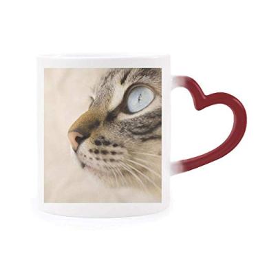 Imagem de Caneca de grés com olho azul gatinho cinza foto sensível ao calor vermelha muda de cor