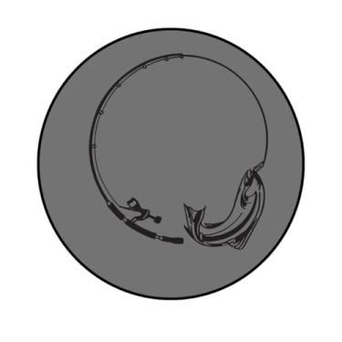 Imagem de Adesivo Decorativo Redondo de Peixe, 200mm, Modelo Variado, Personalizado (PEIX289, PAPEL COUCHÉ190, 200MM)