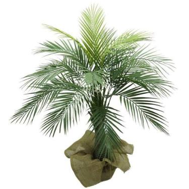 Imagem de Arvore Planta Verde Palmeira Fênix Coqueiro 120cm Premium - La Caza St