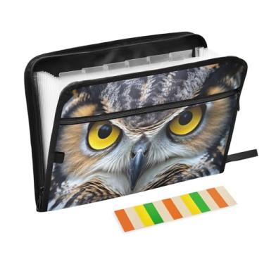 Imagem de Wassud Owl Eyes Organizador de arquivos sanfonado com 13 bolsos, pastas expansíveis com abas e adesivos, tamanho carta A4, papel para recibos, documentos, pasta organizadora para viagens de escritório