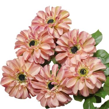 Imagem de EUEUZLT Crisântemos artificiais, flores falsas de 6 hastes para decoração de casa, flores de seda grandes semelhantes a zinnia em cores gradientes, 63 cm de comprimento para uso interno e externo