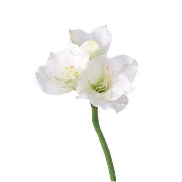 Imagem de Flores artificiais para decoração camélia, flor artificial, planta falsa, amarílis, casa, sala de estar, escritório, hotel, cena de casamento, arranjo de flores, plantas e flores artificiais (A)