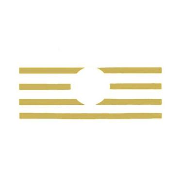 Imagem de Aplique Máscara Grade Para VW Constellation Dourado Conjunto - Venka