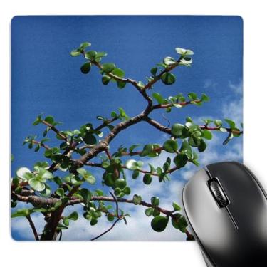 Imagem de 3dRose Mouse pad Bonsai portulacaria afra Tree 2-8 x 8 polegadas (mp_182077_1)