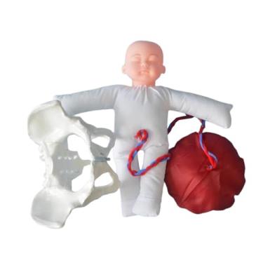 Imagem de EHJRE Modelo de Anatomia Pélvica Feminina Ferramenta Educacional para Parteiras em Obstetrícia