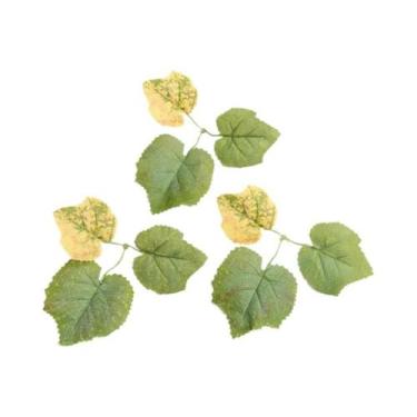 Imagem de Plantas Artificiais De Folha De Bordo Em Seda 100PCS Flores Decorativa