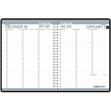 Imagem de Agenda de consultas House of Doolittle 2025 Weekly 21x28cm