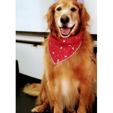 Imagem de 100 bandanas G pet - Drika pet acessórios , G