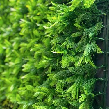 Imagem de Jardim Vertical Havaiana Samambaia Gg008d Pack 4pç / 1m² Samambaia