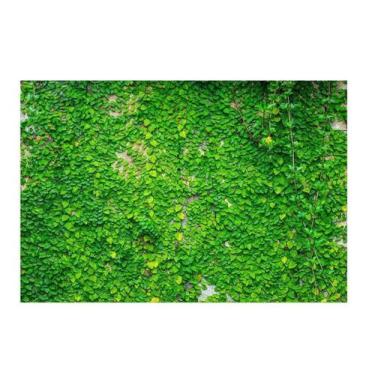 Imagem de Fundo Fotográfico Newborn Muro Inglês 3,0X2,5 Ffg-095 - Felicitá