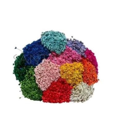 Imagem de Sementes De Flor Sempre Viva Sobrada P/ Vasos E Jardins - SEEDS