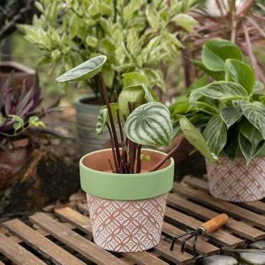 Imagem de Togestar Vasos decorativos de terracota com borda verde, design de padrão vintage, uso em jardim interno e externo, conjunto de 2 vasos com orifícios de drenagem, 4,7 e 5,9 polegadas (12 cm)