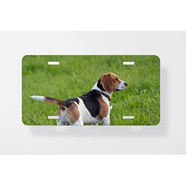 Imagem de Hound Dog Beagle inglês no Meadow capa para placa de carro – capa para placa de carro – 15,24 x 30,48 cm