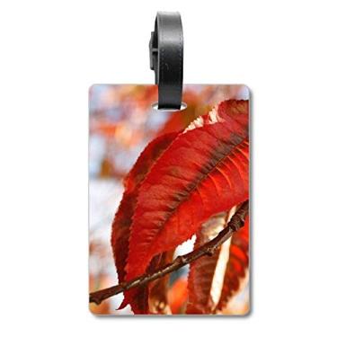Imagem de Folha de bordo vermelha com imagem de natureza e mala com etiqueta para cartão de bagagem