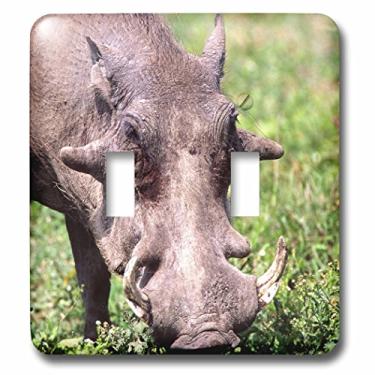 Imagem de 3dRose Interruptor duplo lsp_83933_2 Common Warthog Wildlife Tanzânia África Na02 Dno0387 David Northcott