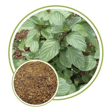 Imagem de Folhas de Alevante 250g - SEEDS