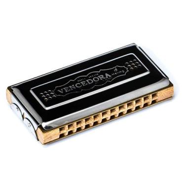 Imagem de Gaita de Boca Harmônica Tremolo Hering 7648 CG (Dó e Sol)