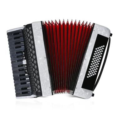 Imagem de TianChunyue Acordeão de 34 teclas 60 graves para adultos instrumento de acordeão de piano iniciante para adultos (prata1)