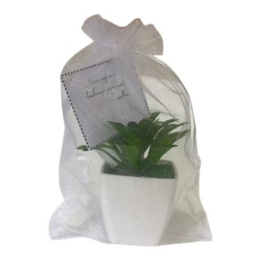 Imagem de Mini Vasos Suculentas Artificiais Sortidas Saquinho Organza