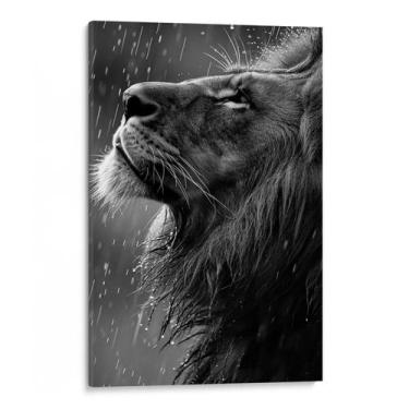 Imagem de Quadro Leão Majestoso Sobre Chuva de Prata - Mioquadros, 60x40 cm, Bor