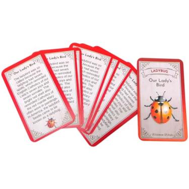 Imagem de Westmon Works Conjunto de cartas sagradas Ladybug Our Ladys Bird Story Pacote de explicação de oração feito nos EUA, pacote com 10
