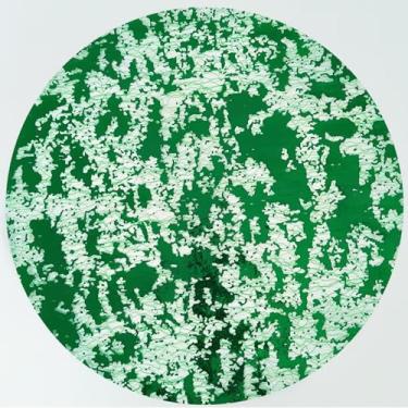 Imagem de YLUSUJAKX Jogo americano verde descartável, conjunto de 100 pratos de carregamento verdes, de malha fina metálica redonda de 33 cm com glitter, prensado, mesa de jantar, centros de mesa de jantar para