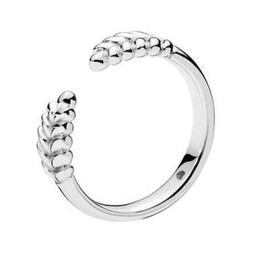 Imagem de Anel de Prata Semente da Prosperidade Life - Sal Do Mar, 20